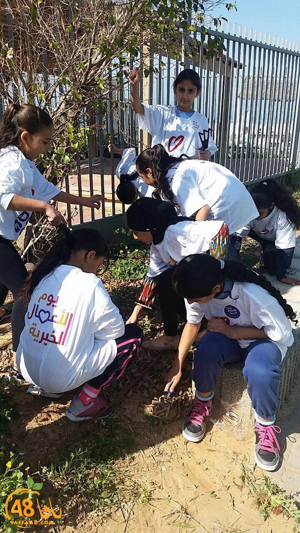 a3mal tayeba 7san3arafa (18).JPG